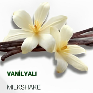 Vanilyalı Milkshake 1000g